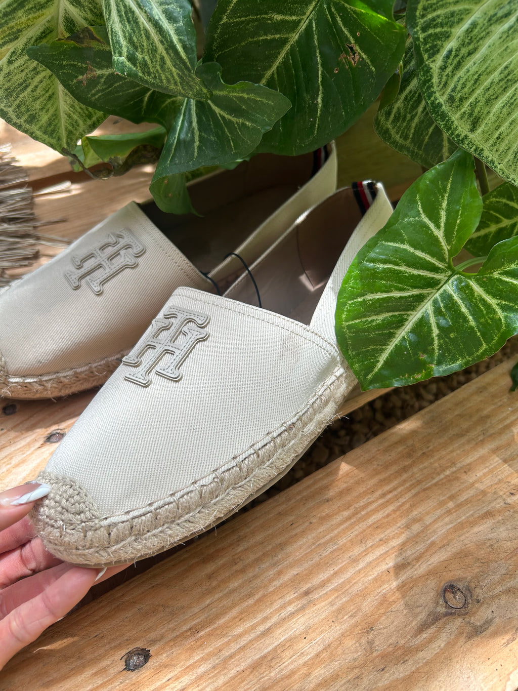 Alpargatas Tommy