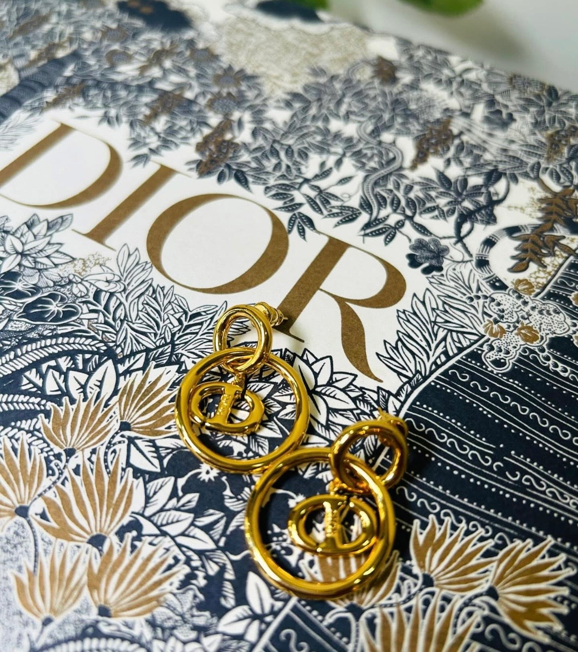Aretes Dior - Joyería